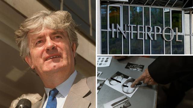 100 godina Interpola: Uhvatili su Karadžića, mafiji poremetili planove, ali često ih kritiziraju