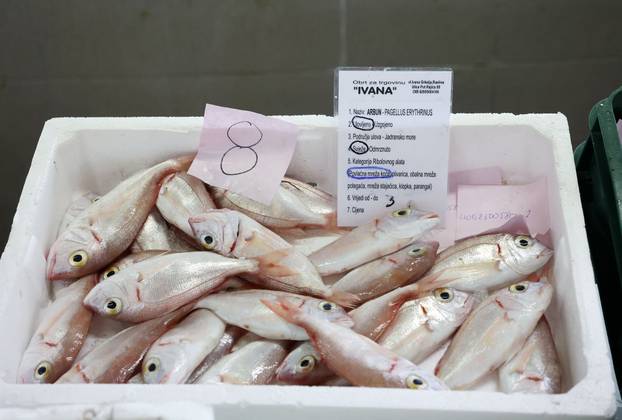 Šibenik: Ponuda na šibenskoj ribarnici