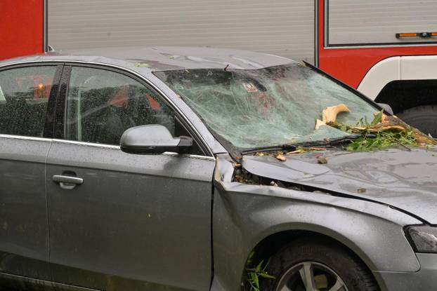 Zagreb: Palo stablo na Maksimirskoj, blokiran promet, vatrogasci na terenu