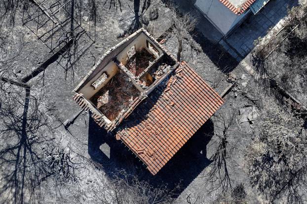 Aftermath of a wildfire in the village of Rapentosa, near Athens