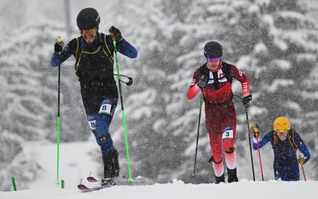 Ski Mountaineering - Men's Sprint Final