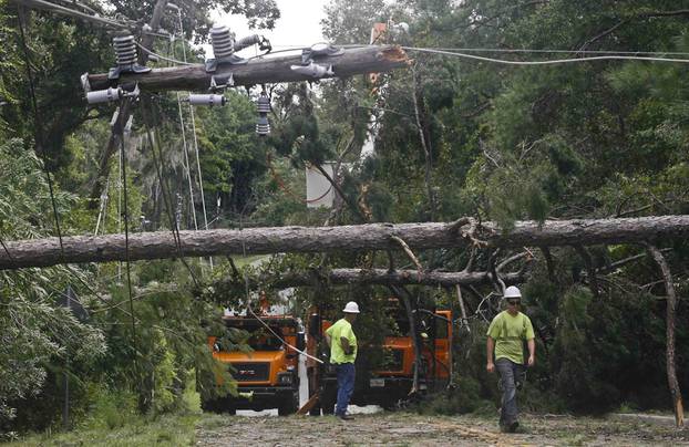 Workers remove downed trees during cleanup operations in the aftermath of Hurricane Hermine in Tallahassee