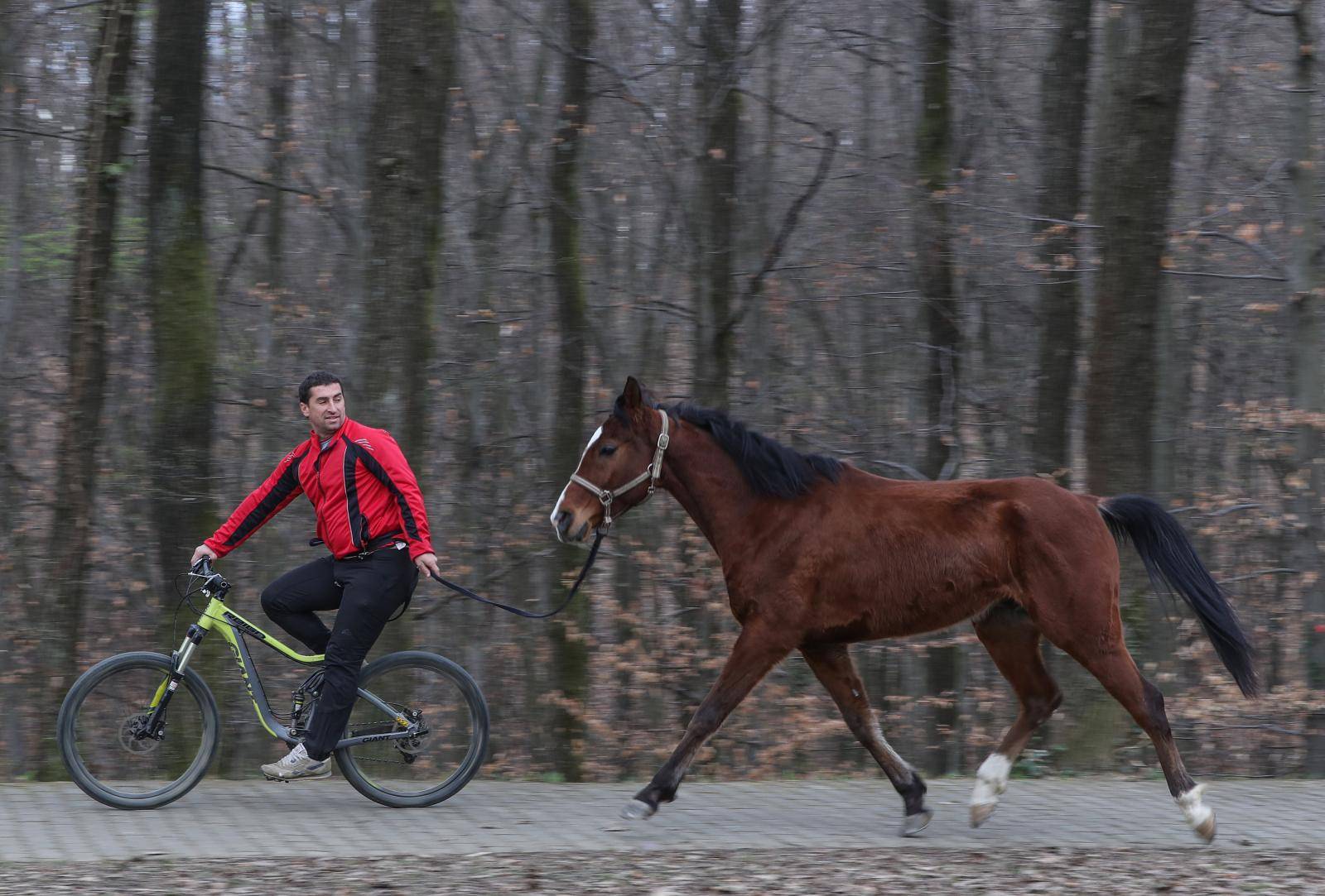 'Moj konj Kasper i ja jurimo šumama čak do 60 km na sat'