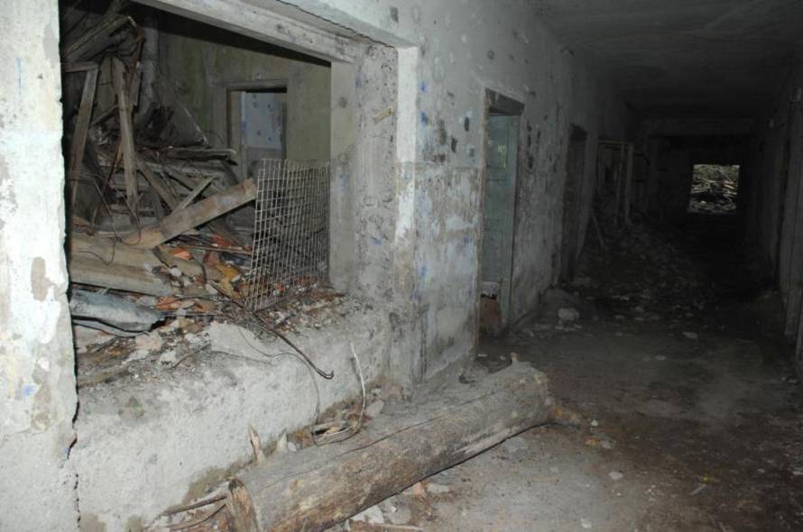 Davor Višnjić/PIXSELL