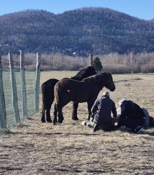 Foto Op&cacute;ina Fu&zcaron;ine