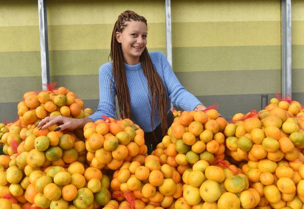 Zagreb: Prodavačica mandarina Kristina Penava ponovno prodaje mandarine na štandu 