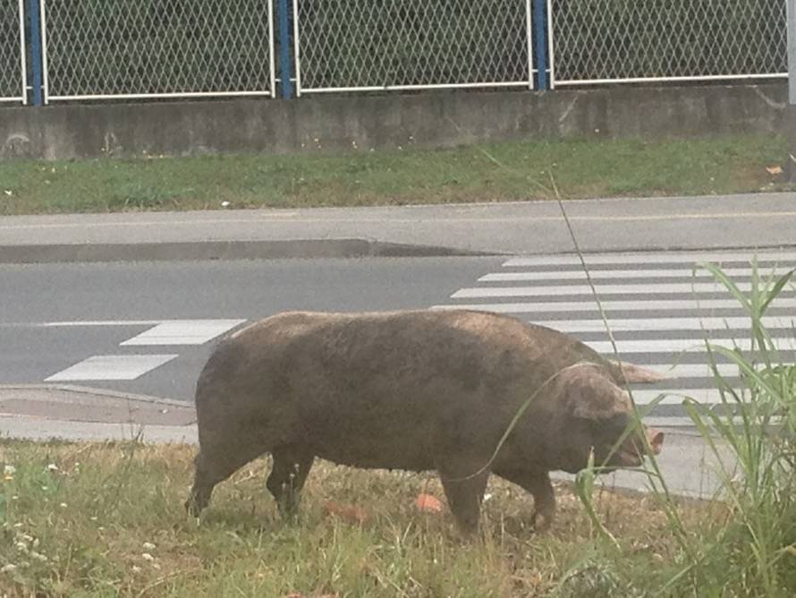 Čitatelj 24sata