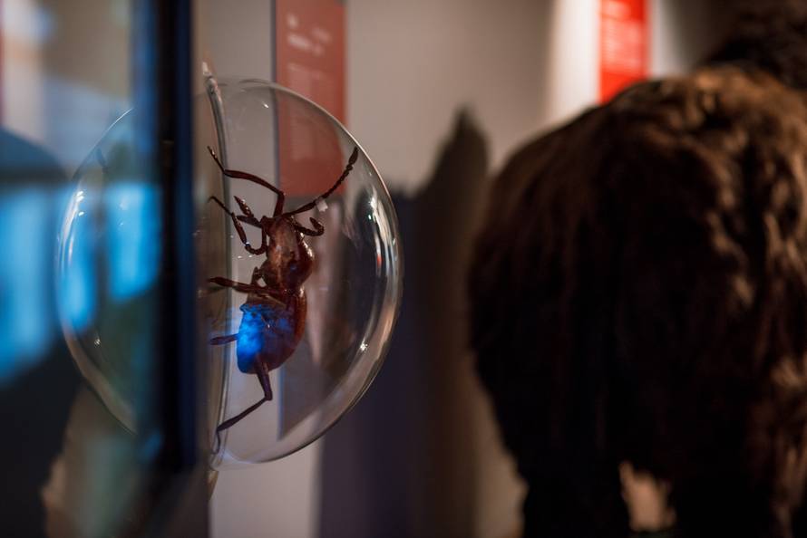 Otkrijte tajne podzemlja - interpretacijski centar blizu Plitvica otvoren je cijelu godinu