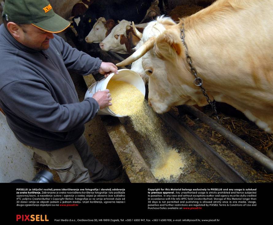 Ivica Galović/Pixsell