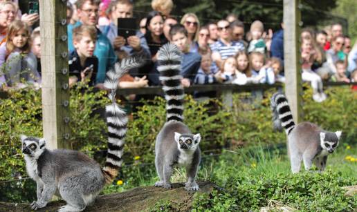 FOTO Zagrebački ZOO slavi svoj 100. rođendan, pogledajte što ga je sve obilježilo kroz godine