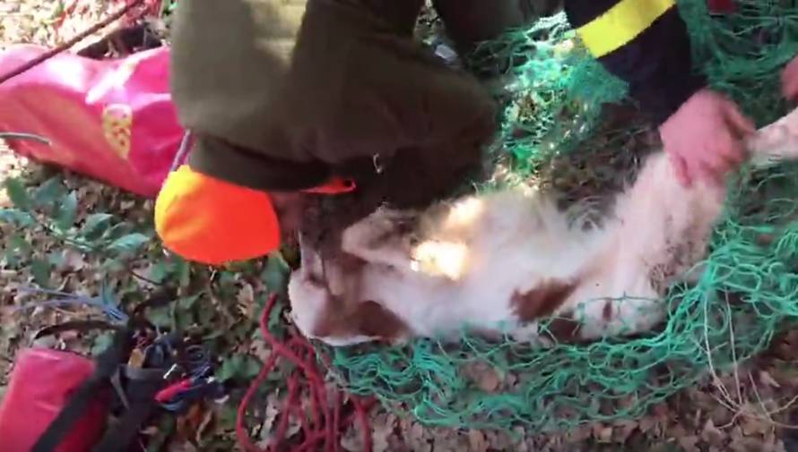 Došli se pozdraviti s psom koji je pao u jamu i čuli lavež s dna