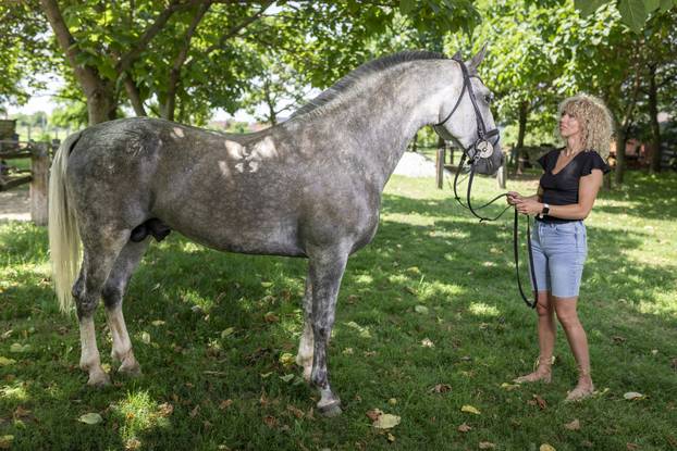 Josipa Basarić iz Vinkovaca vlasnica je najboljeg pastuha