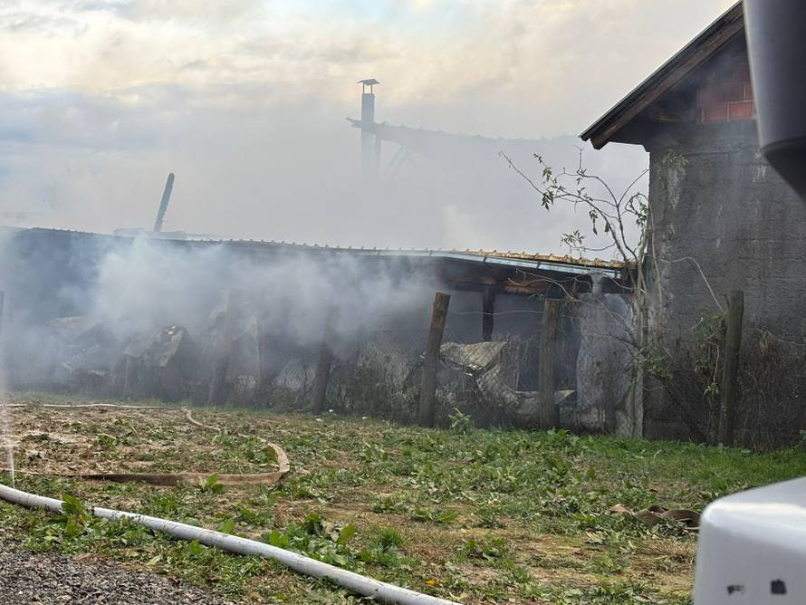 FOTO Strašne scene iz Sesveta: Požar u hali, diže se gusti dim