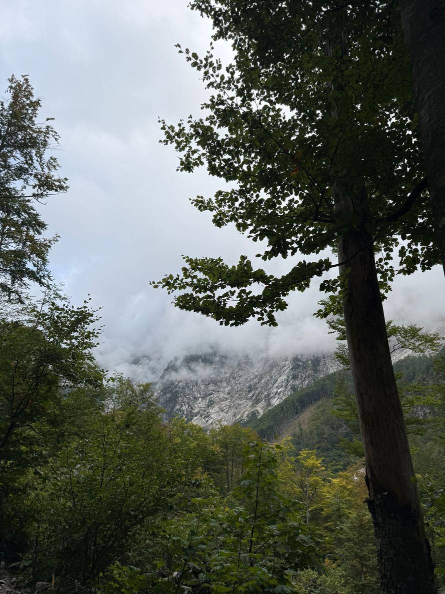 Bijeg u zeleno srce Slovenije: Proveli smo vikend u drvenoj kolibi u kampu tik uz Savinju