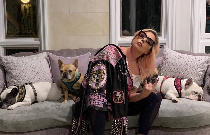 Ukrala je psa Lady Gagi, sad ju tuži zbog neisplaćene nagrade