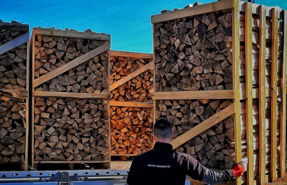 Drvo za ogrjev je novo zlato: Cijene energenata u Europi nikad veće, ljudi se snalaze