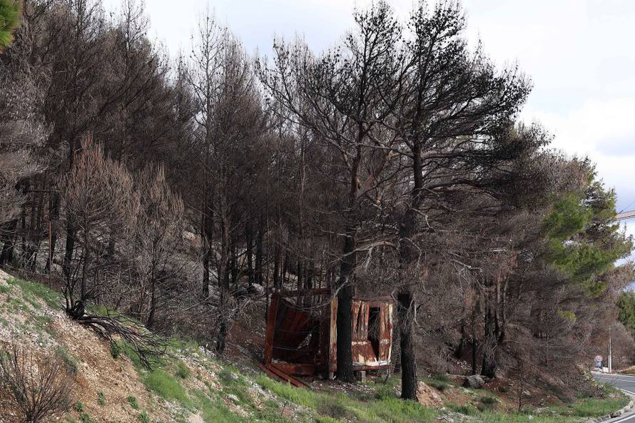 24SATA Omiš: Borna Budić, Ponos Hrvatske