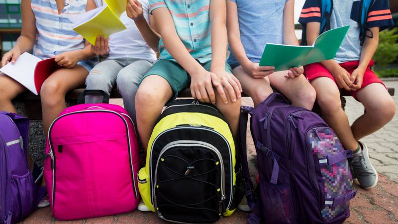 Hrvatska gubi učenike: U 13 godina nestalo 3.760 razreda. Samo dvije županije u plusu