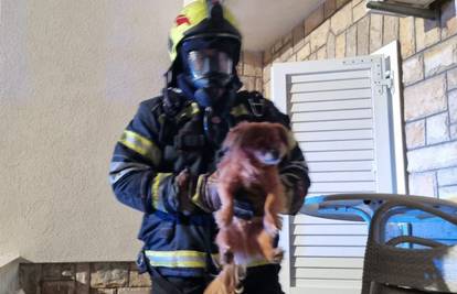 Gorio stan u Makarskoj, uspjeli evakuirati dvoje ljudi i tri psa: 'Intervencija je bila složena'