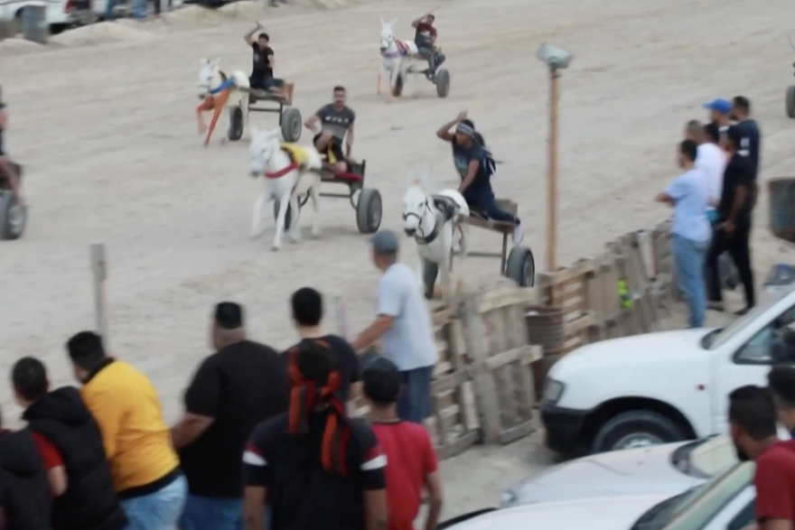 Utrke magaraca u Bahreinu