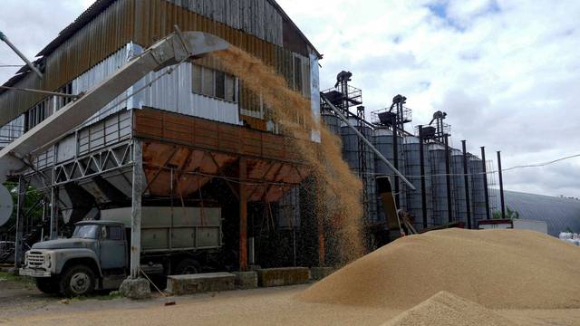 FILE PHOTO: A truck is seen at a grain terminal during barley harvesting in Odesa region