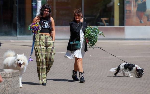 Zagreb: Gradska svakodnevica u središtu grada