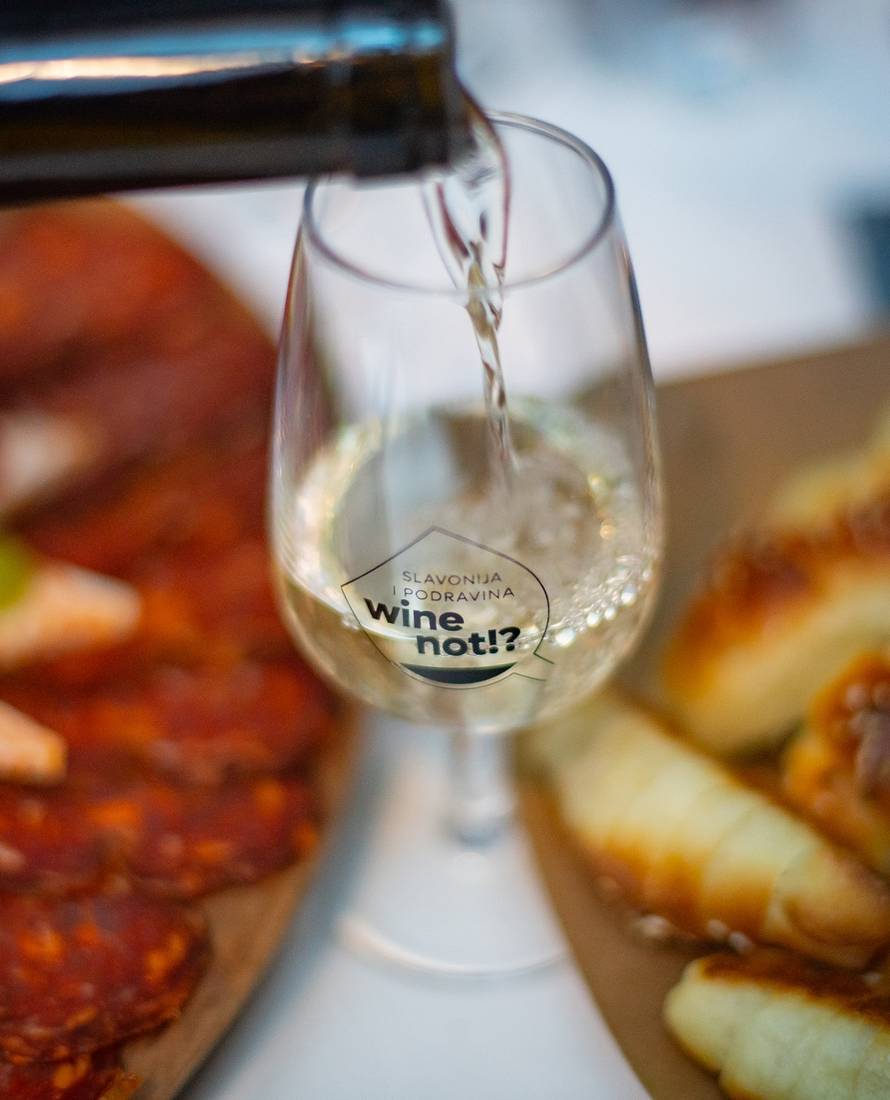 Slavonija i Podravina: otkrili smo novu vinsku destinaciju s prekrasnim dvorcima i kurijama