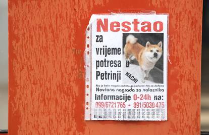 Usred potresa joj nestao pas u Petrinji: Nalazniku nudi novac