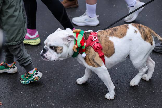 Zagreb: Održan Zagreb Advent Run s brojnim zabavnim maskiranim trkačima 