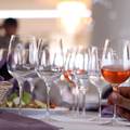 Bolesti poharale vinograde: Francuzi očekuju najnižu proizvodnju vina u povijesti