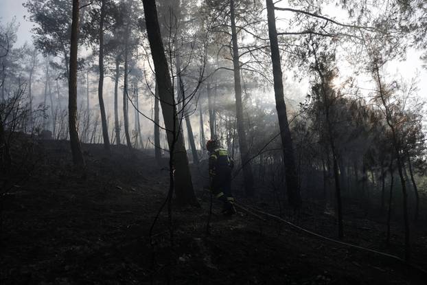 Wildfire burns near the village of Liti