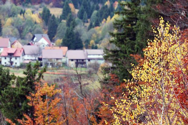Delnice: Boje jeseni u Gorskom kotaru