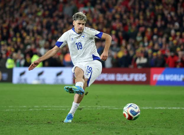 FIFA World Cup - UEFA Qualifiers - Semi Final - Wales v Bosnia and Herzegovina