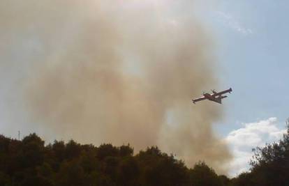 Trogir: Izgorjelo sedam hektara maslinika i šume