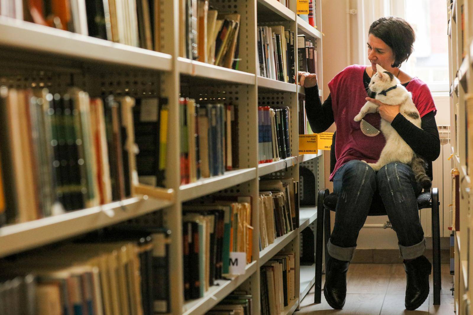 Čupavi knjižničar u Osijeku: Ja sam mačak Đivo i čuvam knjige