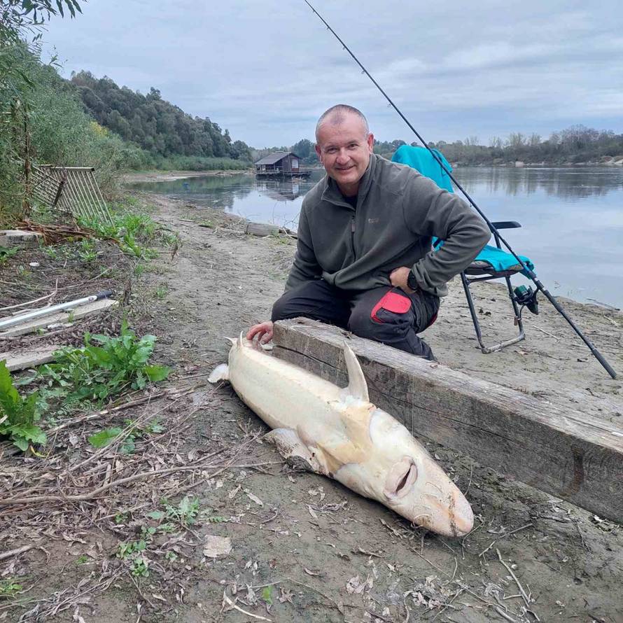 Ribič na Dravi upecao jesetru od 35 kilograma: 'Borili smo se 40 minuta, skakala je po rijeci'
