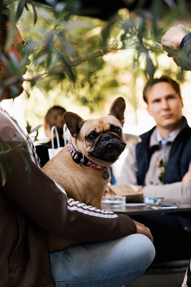 FOTO Ako vas ovi prizori danas ne raznježe, ništa neće: Psi i vlasnici uživali u Dogs' Caffeu