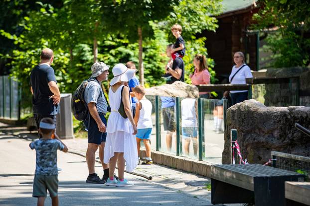 Pogledajte kako izgleda ljeto u zagrebačkom Zoološkom vrtu