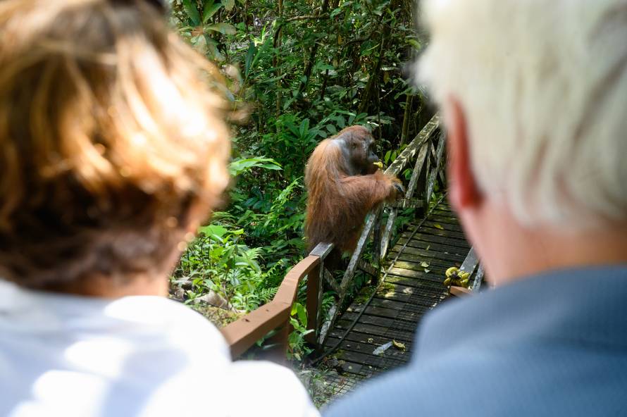 Federal President Steinmeier in Malaysia