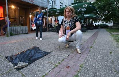 'Psića je s nebodera mogao baciti samo psihopat i luđak'