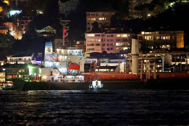 Grain ship from Ukraine grounded in Istanbul's Bosphorus