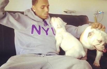 Chris Brown naljutio udruge: Putem interneta prodaje psiće