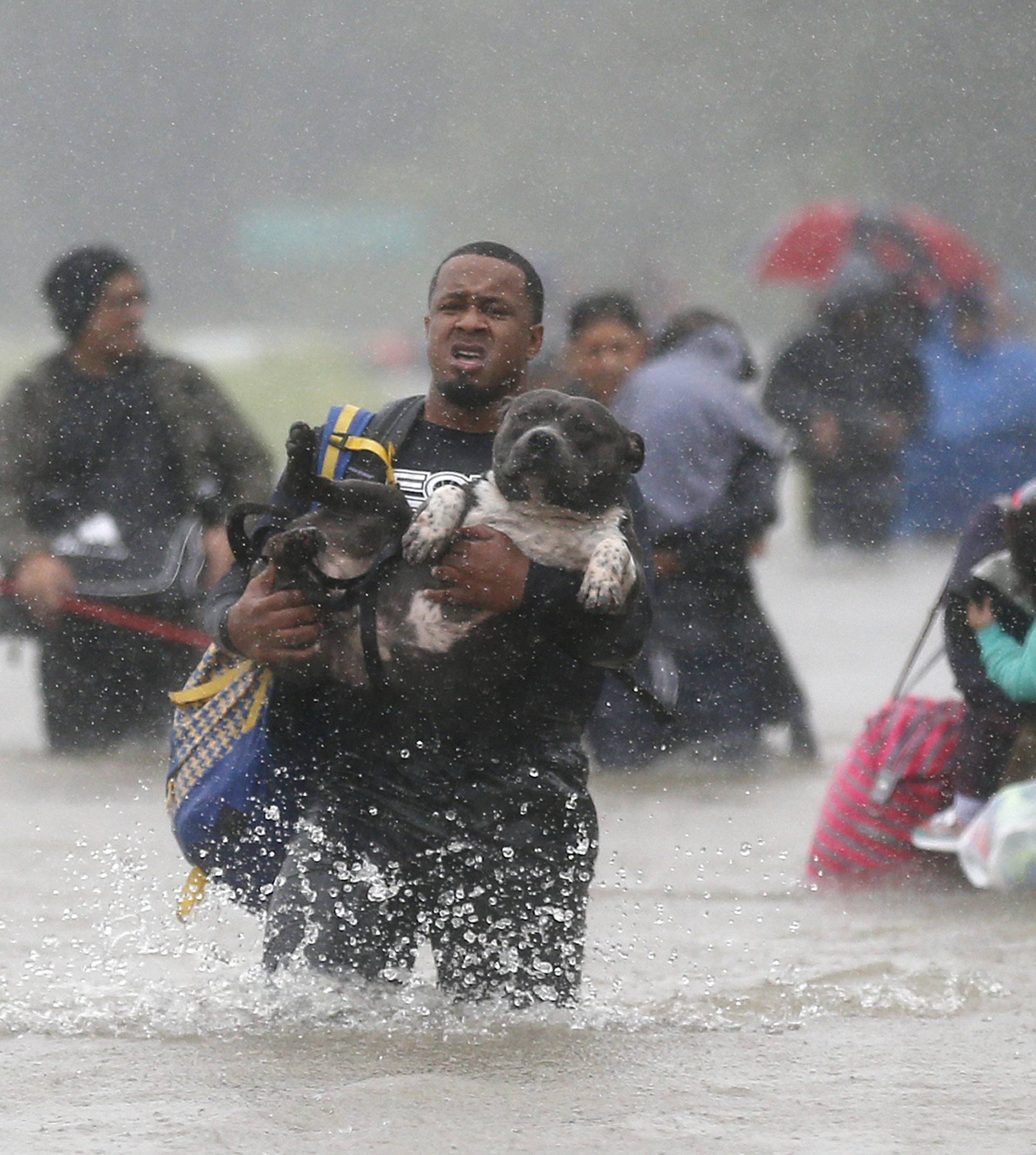 Isiah Courtney carries his dog Bruce through flood waters from Tropical Storm Harvey in Beaumont Place