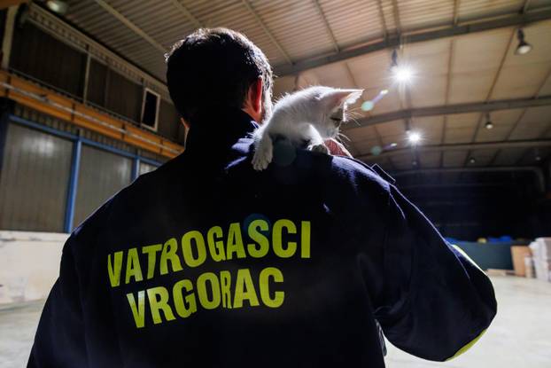 Vrgorac: Vatrogasci spasili 4 mačiča iz šahta gdje su ih pronašli ostavljene