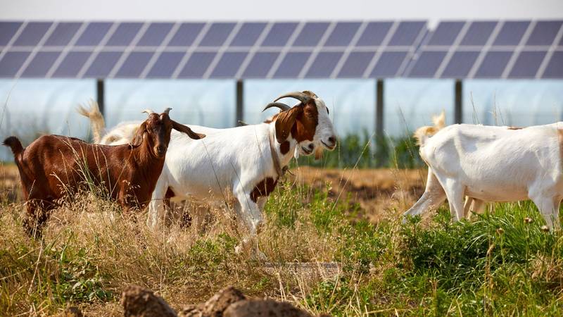 dizajn bez naslova 2024 05 21t081944 001