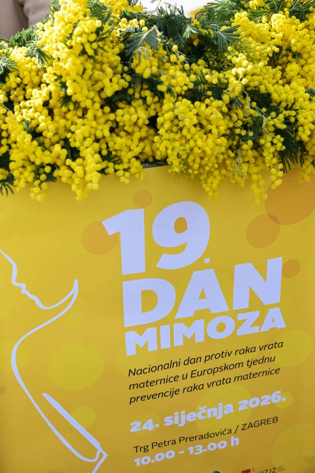 Zagreb: 19. Dan mimoza obilježen na Cvjetnom trgu