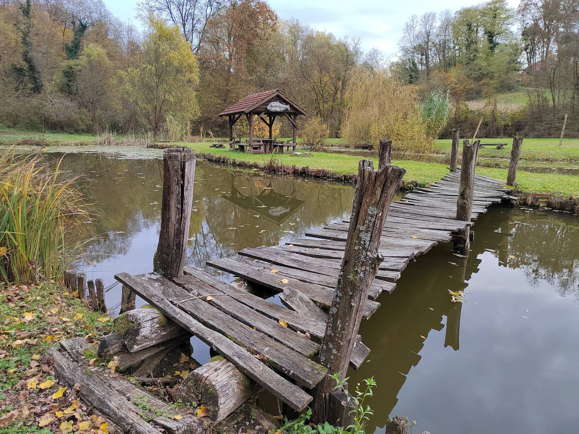 Povratak u stilu: Isprobali smo Honor 50 s odličnim ekranom, brzim punjenjem i - Googleom