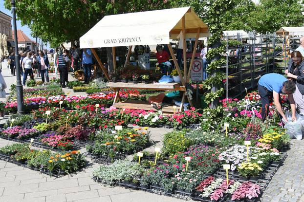 Obilježavanje Dana grada Križevaca uljepšano je cvjetnom manifestacijom "Križevci u cvijeću"