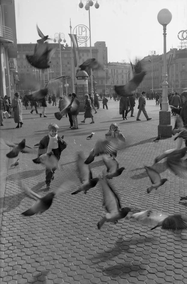 Zagreb: Dječja utrka s golubovima