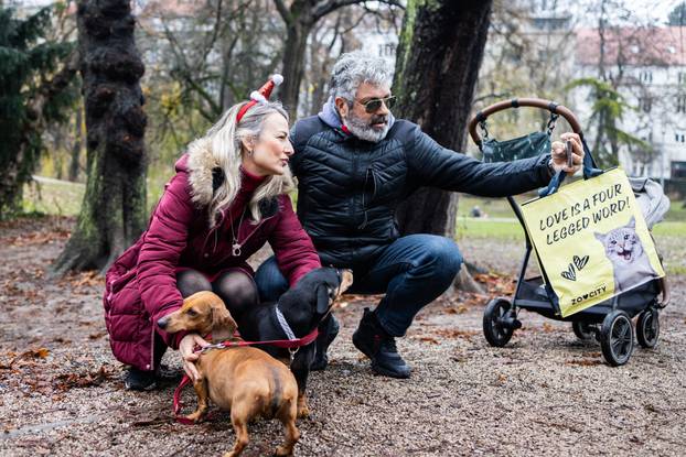 Zagreb: Adventska špica jazavčara 